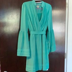 Love Riche Mint Dress